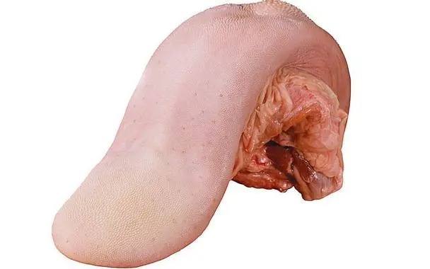 新鮮蔬菜一鍵訂購，簽約即配送！