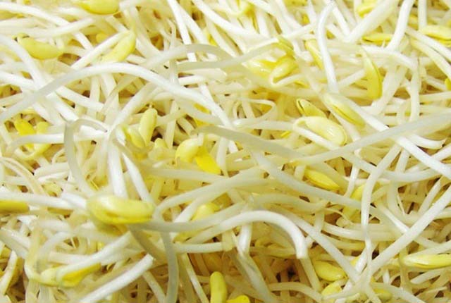 蔬菜配送公司的發(fā)展與現(xiàn)狀