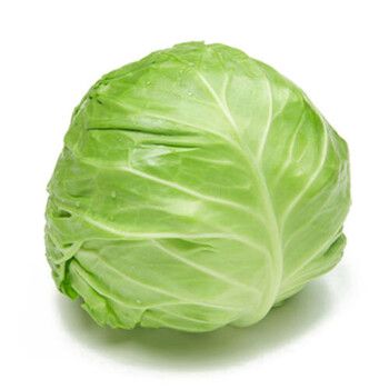 致農蔬菜配送有限公司:提供新鮮健康的蔬菜