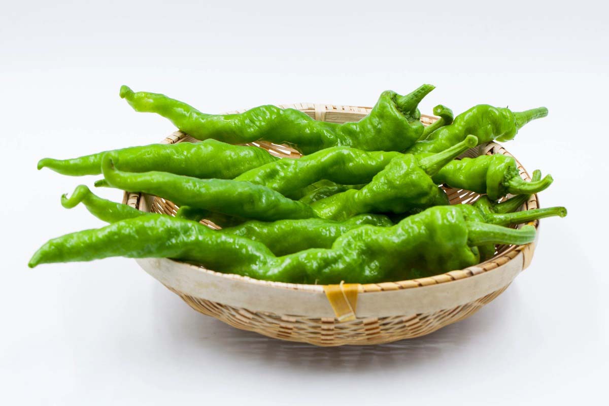 花都蔬菜配送送貨上門