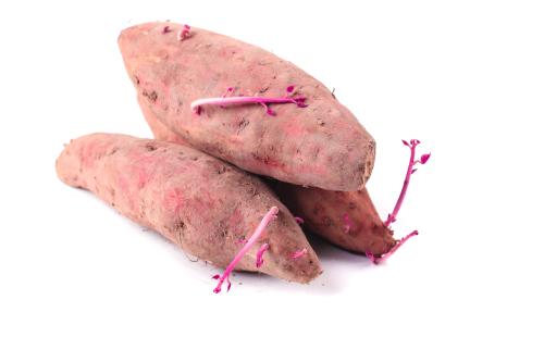 高坡蔬菜配送電話號碼