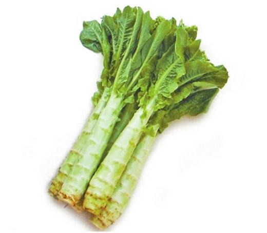 同城配送蔬菜的可行性分析