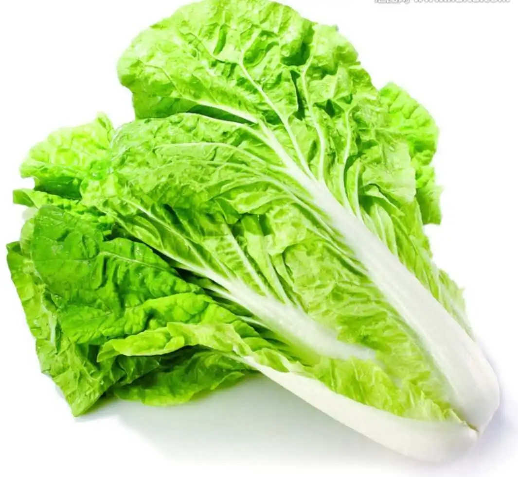 綠色健康,從蔬菜配送開始