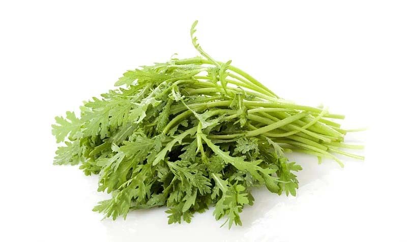 學校食材配送專業安全高效的服務保障