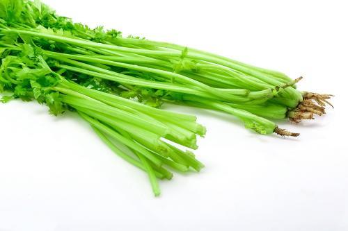 如何讓學校食材更安全?實用的配送方案