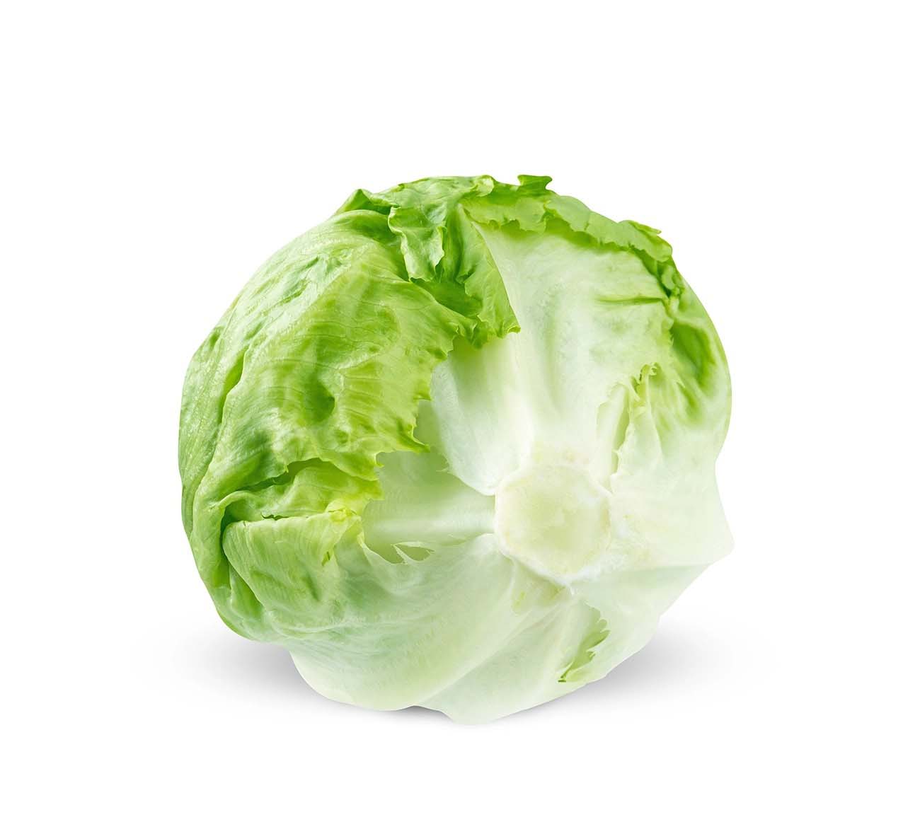 食品配送站的發展與現狀