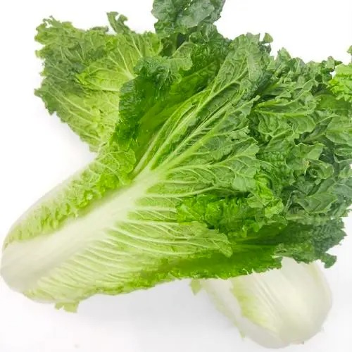 想要新鮮蔬菜,就來廣州蔬菜配送!