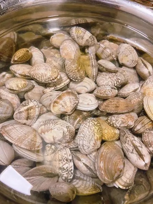 新鮮蔬菜直送!廣州供應公司