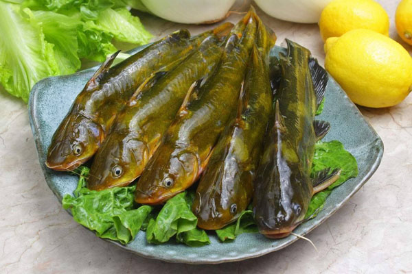 新鮮蔬菜直送，上優選生鮮供應商