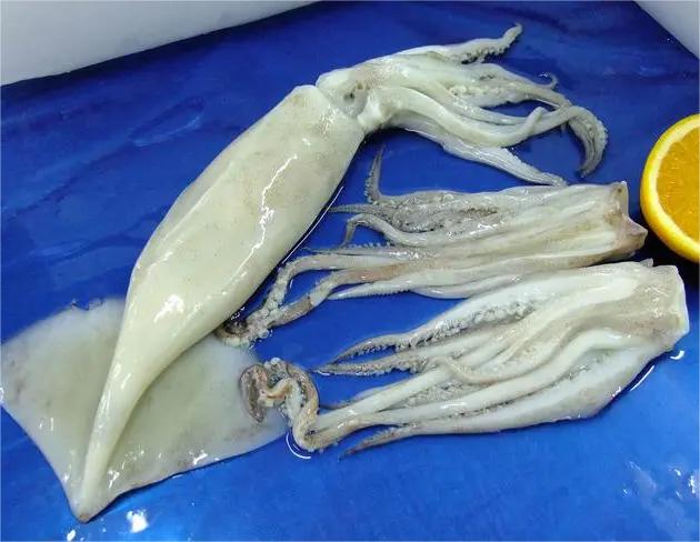 昭通蔬菜配送招聘信息網