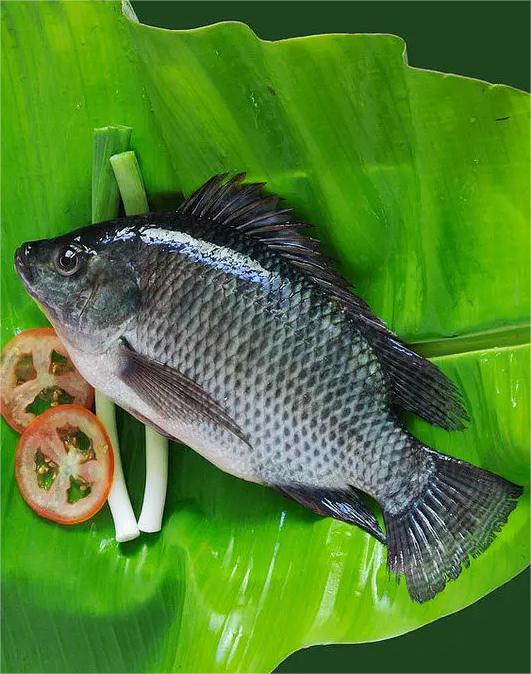 首宏蔬菜運(yùn)輸公司在東莞的蔬菜配送服務(wù)